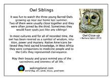 owl greeting card